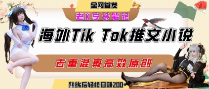 海外tiktok小说推文暴力项目，高停留率，高转化率，上手后一天搞顿饭钱不是问题-佳佳云创网