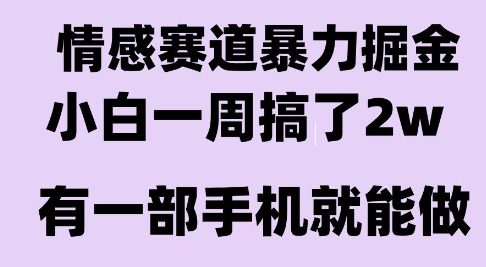 情感暴力掘金项目，新人操作一周挣了2W，长期稳定小白可做【揭秘】-佳佳云创网