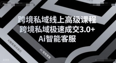跨境私域线上高级课程，跨境私域极速成交3.0+Ai智能客服-佳佳云创网