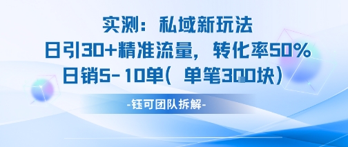 实测私域新玩法日引30加精准流量转化率50%日销5-10单每笔3张-佳佳云创网