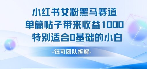 小红书女粉黑马赛道单篇帖子带来收益1k+，特别适合0基础的小白-佳佳云创网