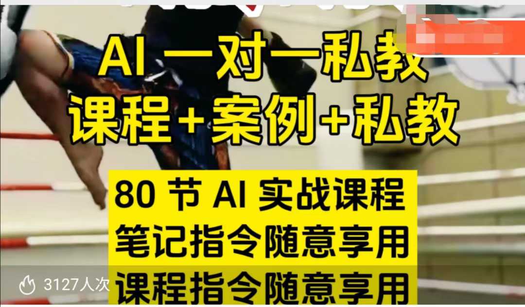 AI指令实战课，课程+案例，80节AI实战课程，笔记指令随意享用，课程指令随意享用（更新7月）-佳佳云创网