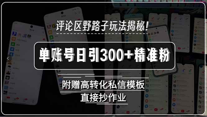 （15466期）评论区野路子玩法揭秘！单账号日引300+精准粉，附赠高转化私信模板，直…-佳佳云创网