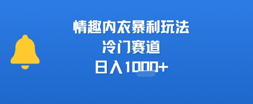 情趣内衣暴利玩法，冷门赛道，日入1k+-佳佳云创网