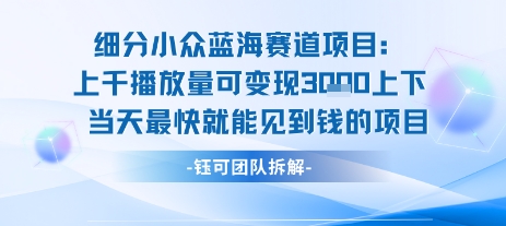 小众蓝海赛道项目：当天变现1k+适合新手操作 +适合长期玩-佳佳云创网