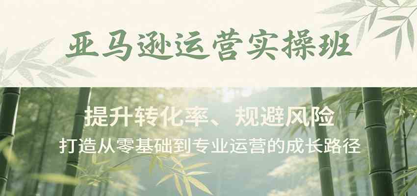 亚马逊运营实操班，提升转化率、规避风险，打造从零基础到专业运营的成长路径-佳佳云创网