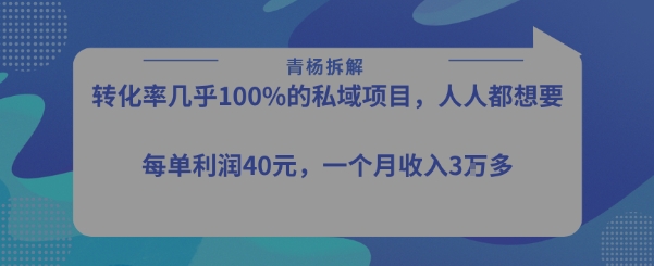 转化率最高的私域项目，每单利润40-50米，月入过1w-佳佳云创网