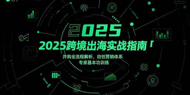 （15503期）2025跨境出海实战指南，并购全流程解析，自创营销体系，专家基本功训练-佳佳云创网