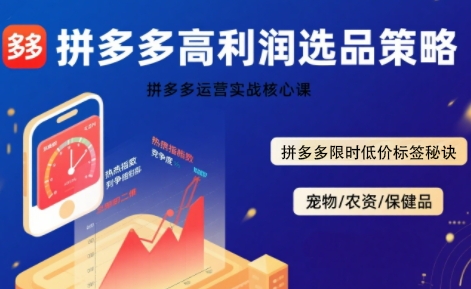 拼多多选品暴利技术实战课，拼多多高利润选品策略，拼多多限时低价标签秘诀-佳佳云创网