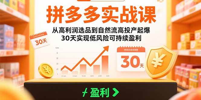 （15586期）拼多多实战课：从高利润选品到自然流高投产起爆 30天实现低风险可持续盈利-佳佳云创网