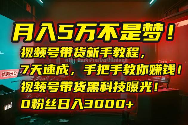 （15595期）月入5万不是梦！视频号带货新手教程，7天速成，手把手教你赚钱！视频号…-佳佳云创网