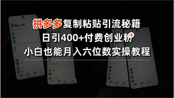 （15613期）拼多多复制粘贴引流秘籍，日引400+付费创业粉，小白也能月入六位数实操…-佳佳云创网
