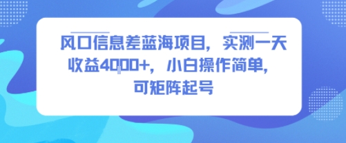 风口信息差蓝海项目，实测一天收益4k+，小白操作简单，可矩阵起号-佳佳云创网