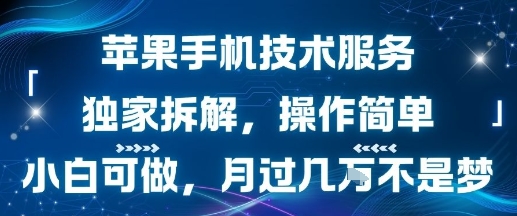 苹果手机技术服务，独家拆解，操作简单，小白可做，月过1W不是梦-佳佳云创网