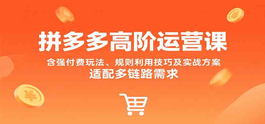 拼多多高阶运营课，含强付费玩法、规则利用技巧及实战方案，适配多链路需求-佳佳云创网