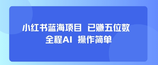 小红书蓝海项目，全程AI，操作简单，已挣五位数-佳佳云创网