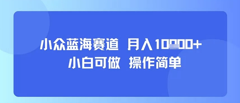 小众蓝海赛道，小白可做，操作简单，每天30分钟，月入1W+-佳佳云创网