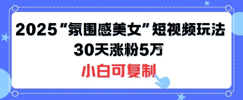 不露脸也能火！2025“氛围感美女”短视频玩法，30天涨粉5W小白可复制-佳佳云创网
