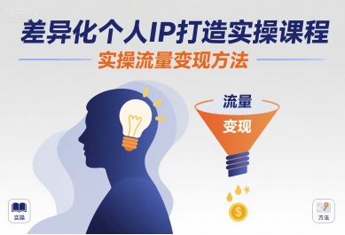 差异化个人IP打造实操课程，实操流量变现方法-佳佳云创网