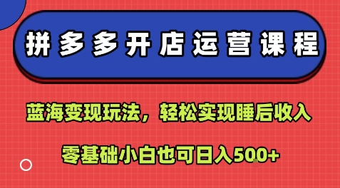 拼多多开店运营课程：蓝海变现玩法，轻松实现睡后收入，零基础小白也可日入5张-佳佳云创网