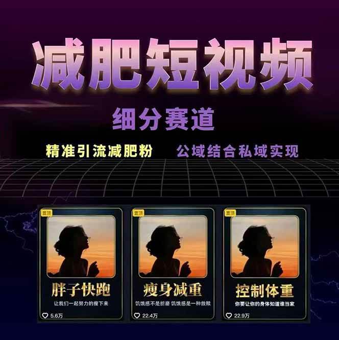 图片[2]-减肥短视频运营实战课：含素材制作、剪映教学，讲精准引流、变现设计与内容模板技巧-佳佳云创网