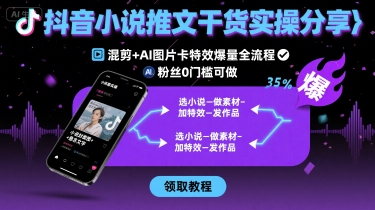 抖音小说推文干货实操分享，混剪+AI图片卡特效爆量全流程，0粉丝0门槛可做-佳佳云创网
