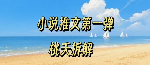 小说推文项目操作全流程第一弹，0粉就能做，门槛低非常适合新手-佳佳云创网