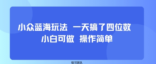小众蓝海玩法 一天搞了四位数 小白可做 操作简单-佳佳云创网