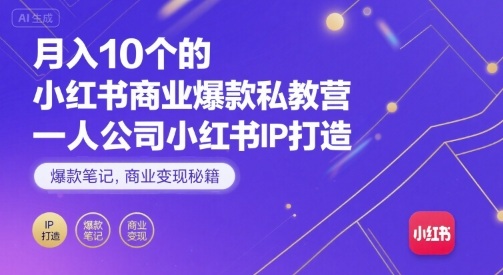 月入10个的小红书商业爆款私教营，一人公司小红书IP打造，爆款笔记，商业变现秘籍-佳佳云创网