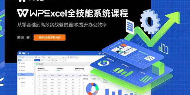 （15873期）WPS Excel全技能系统课程：从零基础到高阶实战全覆盖，全面提升办公效率-佳佳云创网