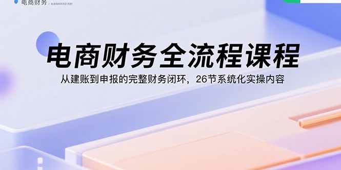 （15893期）电商财务全流程课程：从建账到申报的完整财务闭环，26节系统化实操内容-佳佳云创网