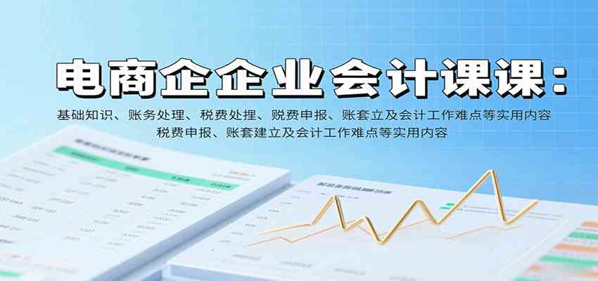 电商企业会计课：基础知识、账务处理、税费申报、账套建立及会计工作难点等实用内容-佳佳云创网