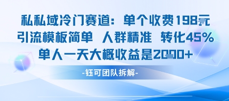 私域冷门赛道单个收费198米引流模板简单人群精准 45%的转化率单人一天大概收益多张-佳佳云创网