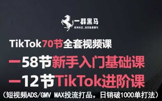 TikTok全套视频课，新手入门+进阶课，短视频ADS-GMV MAX投流打品，日销破1000单打法-佳佳云创网