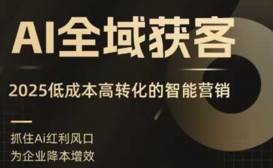 AI全域获客实训营，2025低成本高转化的智能营销，精准找客，高效营销-佳佳云创网