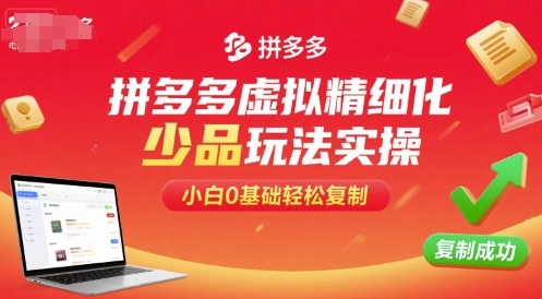 拼多多虚拟精细化少品玩法实操，小白0基础轻松复制-佳佳云创网