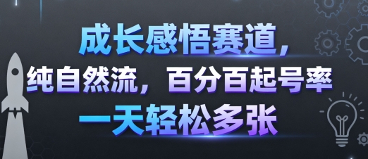 成长感悟赛道，纯自然流，百分百起号率 一天轻松多张-佳佳云创网