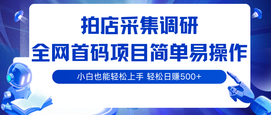 拍店采集调研，全网首码项目，简单易操作， 小白也能轻松上手，轻松日赚500+-佳佳云创网