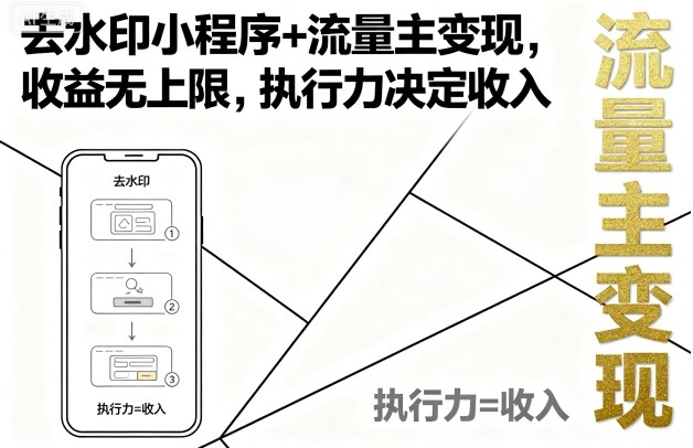 去水印小程序+流量主变现，收益无上限，执行力决定收入-佳佳云创网