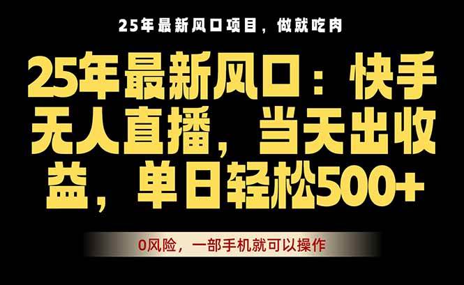（16007期）25年最新无人直播玩法，当天秒出单，一部手机就可操作-佳佳云创网