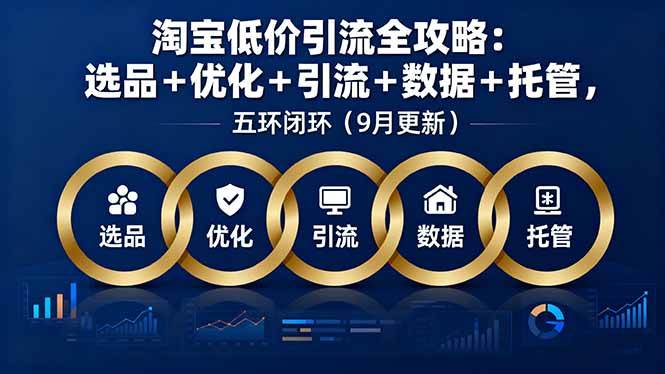 （16009期）淘宝低价引流全攻略：选品＋优化＋引流＋数据＋托管，五环闭环（9月更新）-佳佳云创网