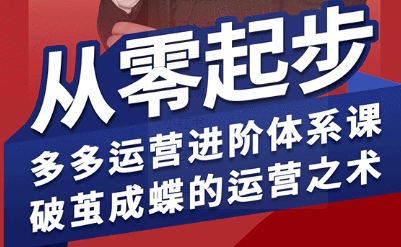 拼多多运营进阶系统课，从零起步，多多运营进阶体系课，破茧成蝶的运营之术（更新9月）-佳佳云创网