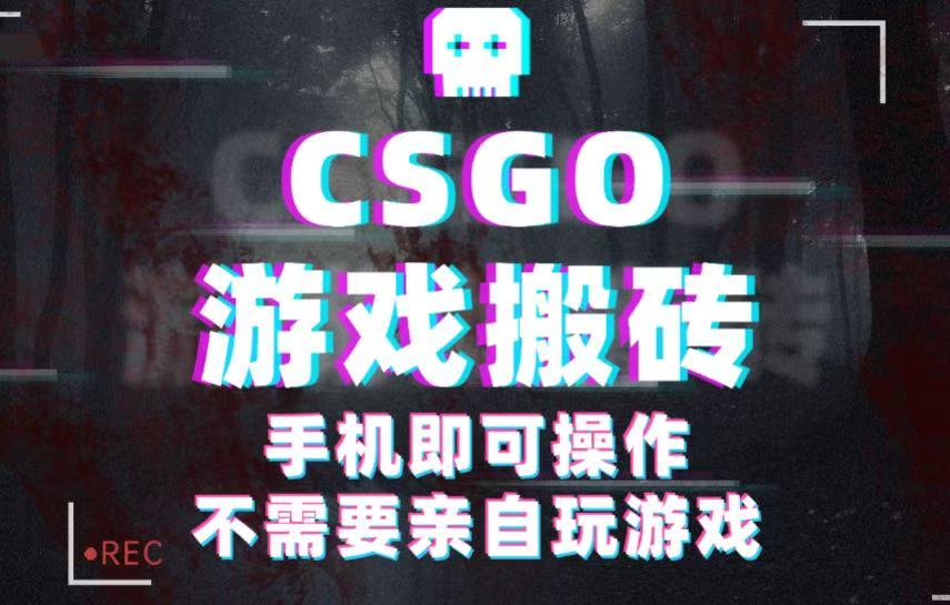 CSGO游戏挂机捡漏，单日扫货500+，年底小高峰上车可吃肉，手机即可操作兼职副业-佳佳云创网