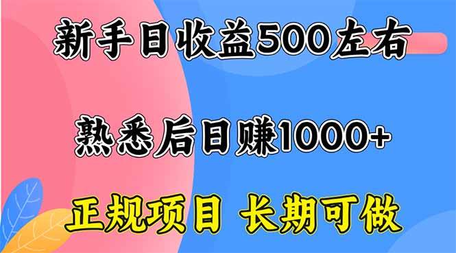 （16132期）新手日收益500+ 正规项目 长期可做-佳佳云创网