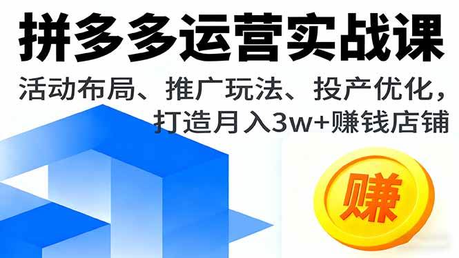 （16135期）拼多多运营实战课，活动布局、推广玩法、投产优化，打造月入3w+赚钱店铺-佳佳云创网
