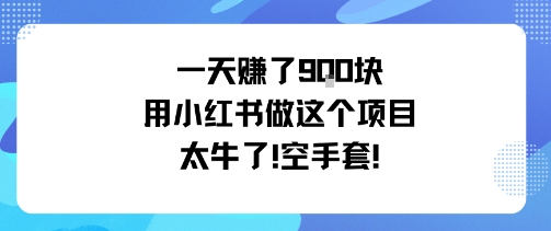 一天挣了9张用小红书做这个项目太牛了，空手套-佳佳云创网