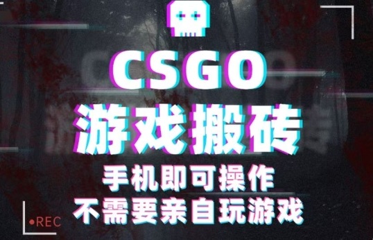 CSGO游戏挂G捡漏，单日扫货5张+，年底小高峰上车可吃肉，手机即可操作，兼职副业创业网创【揭秘】-佳佳云创网
