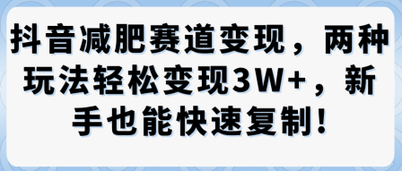 抖音减肥赛道变现，两种玩法轻松变现3W+，新手也能快速复制-佳佳云创网