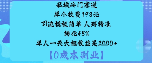 私域冷门赛道:单个收费198米引流模板简单人群精准转化45%单人一天大概收益是1k+-佳佳云创网