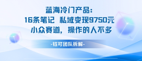 蓝海项目：16条笔记私域变现9750米小众赛道操作的人不多-佳佳云创网